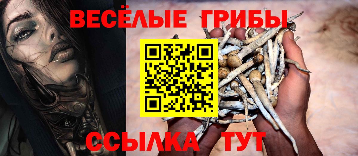 Псилоцибиновые грибы GOLDEN TEACHER Сосновый Бор