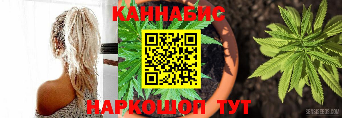 Канабис семена  Марихуана семена  Вход с VPN  Бошки Шишки семена  Бошки Шишки LSD WEED  Сосновый Бор 